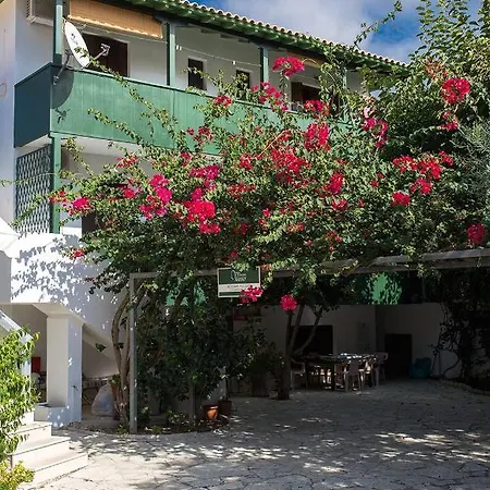 ゲストハウス Pansion Vasso 3*