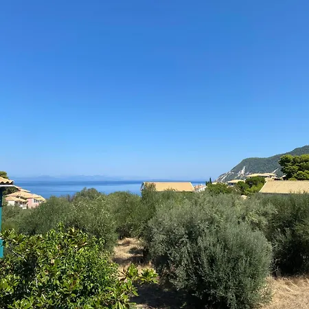 ゲストハウス Pansion Vasso 3*